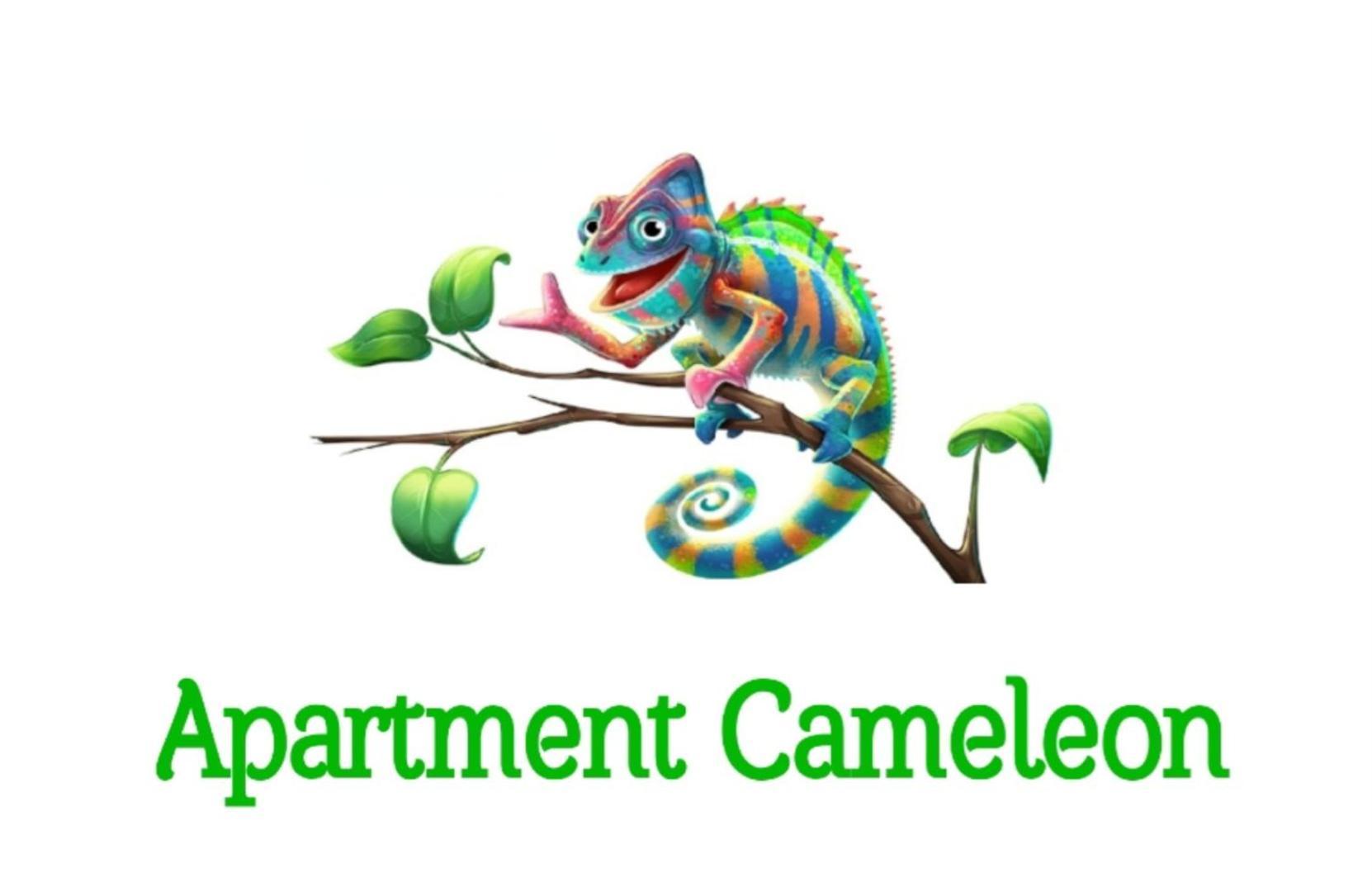 Apartment Cameleon دوبروفينك المظهر الخارجي الصورة